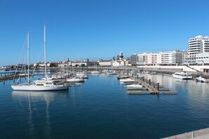 Boats docked in a well-organized marina with city views.