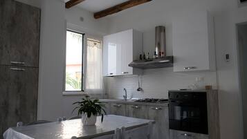 Fridge, oven, stovetop, cookware/dishes/utensils