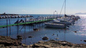 A marina with boats docked along a pier.