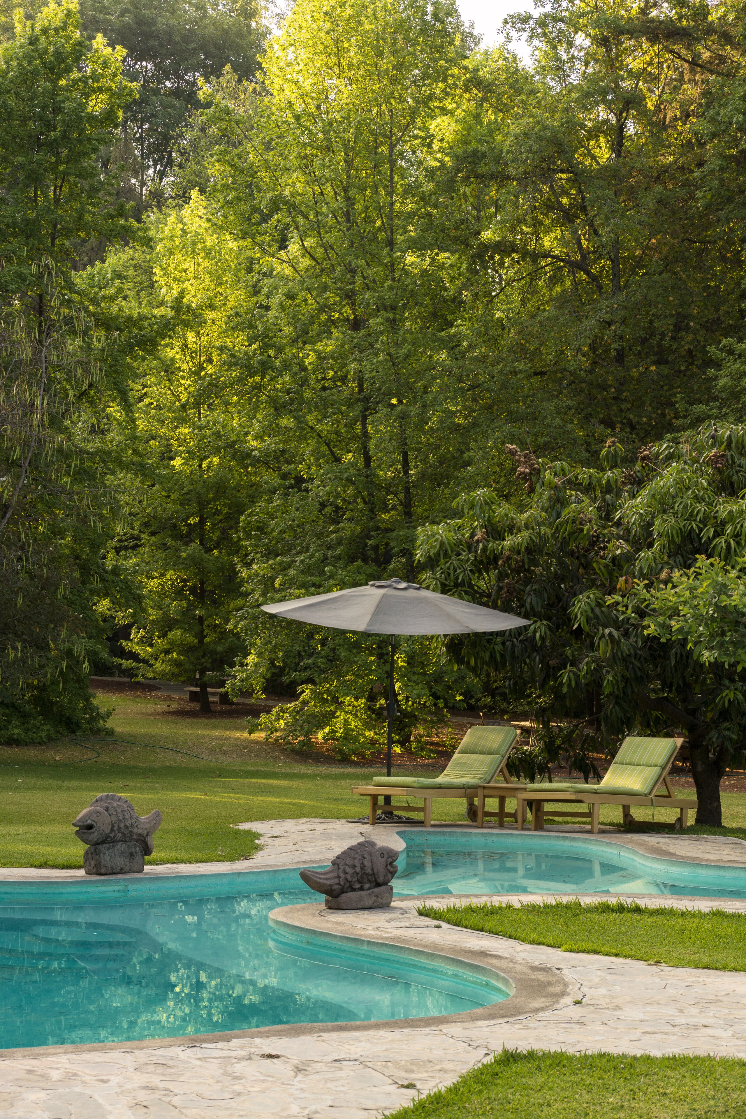 Una piscina con dos tortugas de piedra, rodeada de césped y árboles.