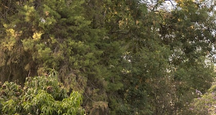 Hotel Rancho San Cayetano