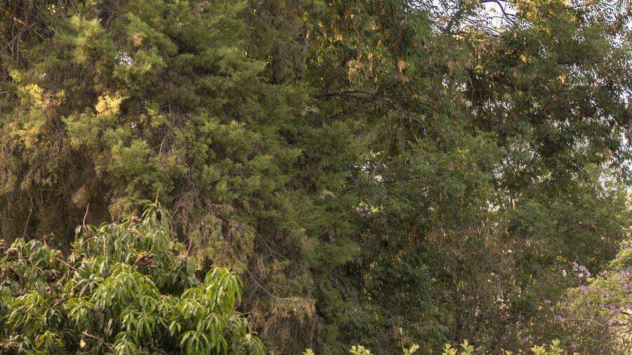 Hotel Rancho San Cayetano