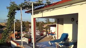 庭園