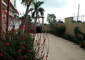 A paved pathway leading to a gated entrance with a palm tree and red flowering plants in the foreground. - Hostal Betty SANTA MARTA (Cárdenas)