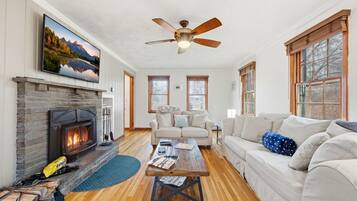 Smart TV, fireplace, books