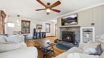 TV connectée, cheminée, livres