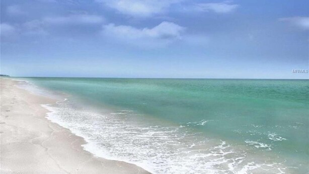 Unclassified image, 1 of 23, button - Kingston Arms - Walk to Beach and St. Armands Circle (Sarasota)