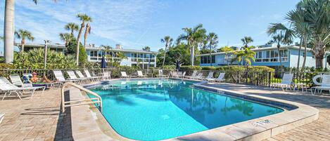 A swimming pool with lounge chairs and palm trees.