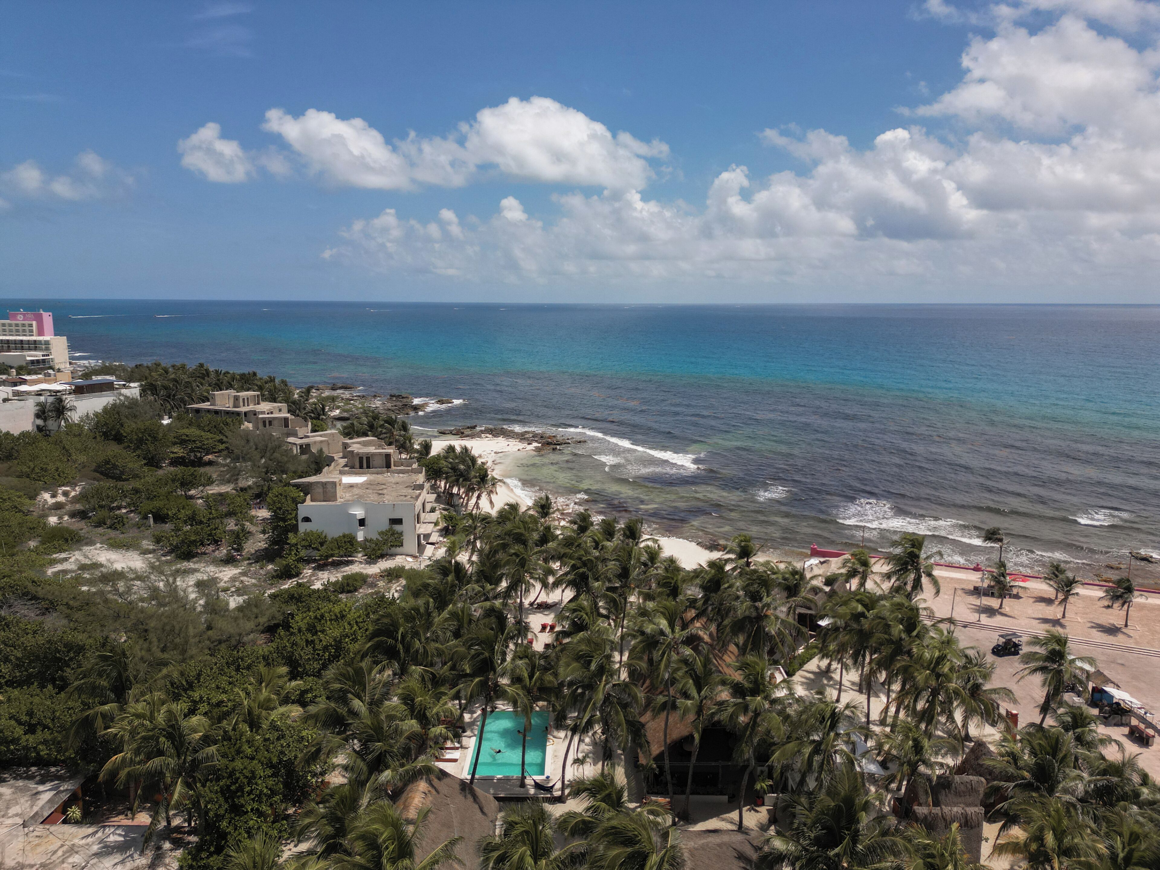 A coastal resort with a swimming pool, beachfront, and palm trees.