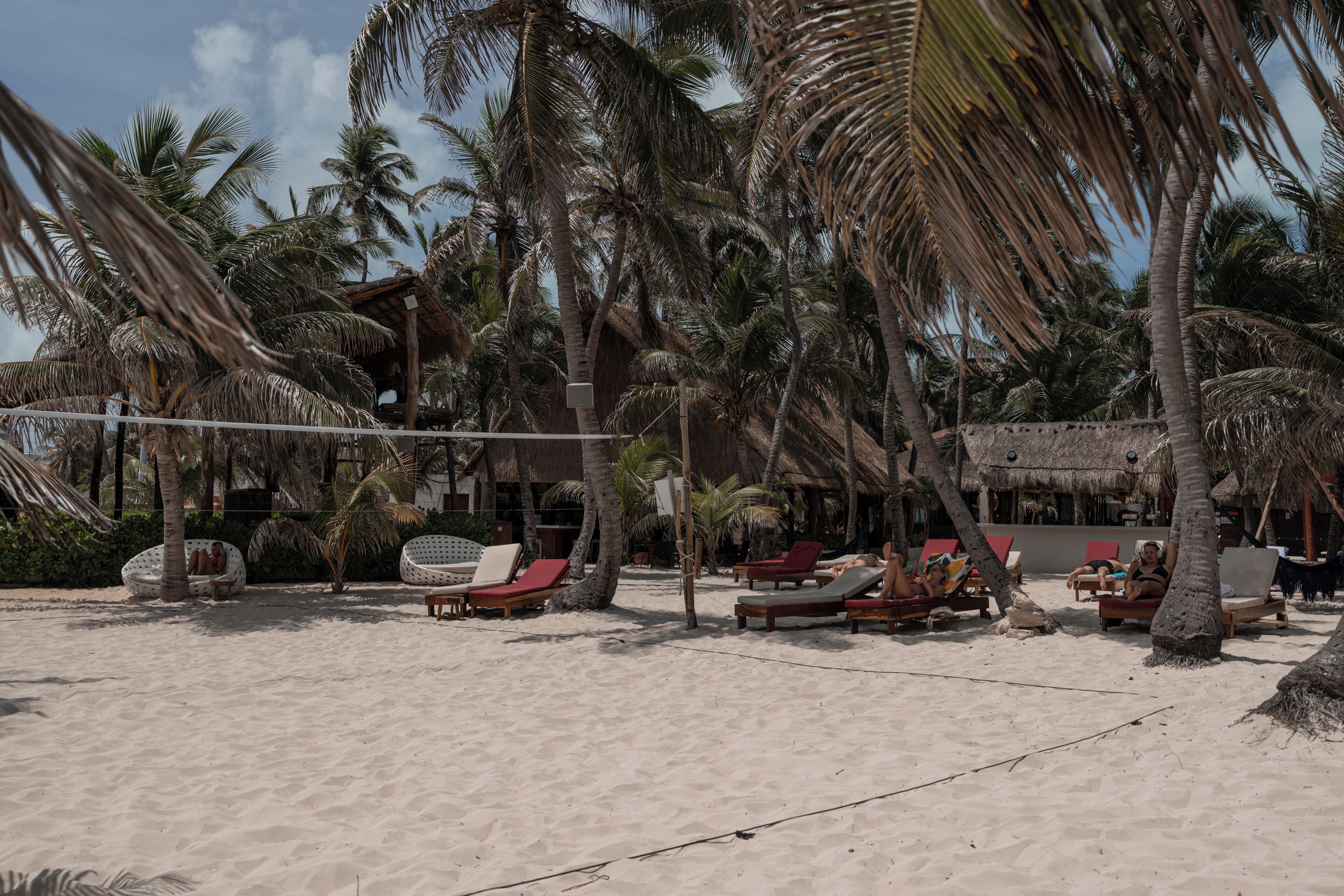 Una playa con sillas de descanso y palmeras.