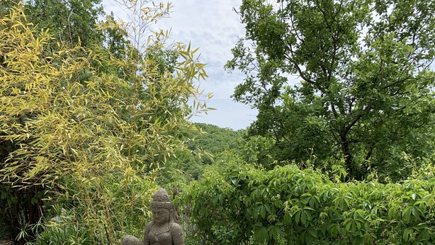 Un jardin paisible, orné d’une statue de Bouddha en pierre, d’un petit étang et d’une végétation luxuriante.