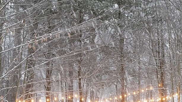 A snowy outdoor area with string lights, covered seating, and a snow-covered path. - Escape to ‘Pursue Happiness’ - Your Poconos Retreat! (Tobyhanna)