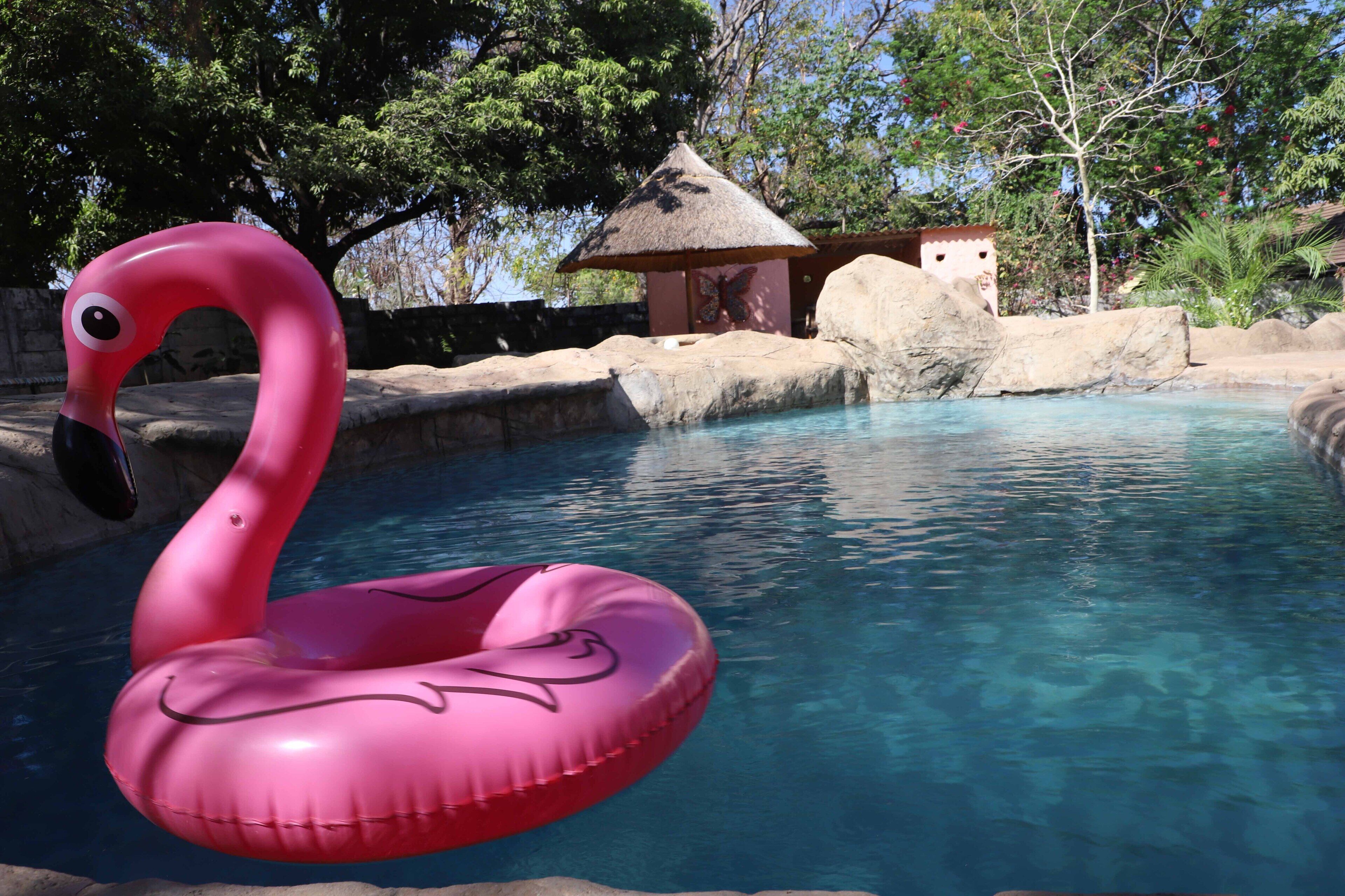 A swimming pool with a pink flamingo float.