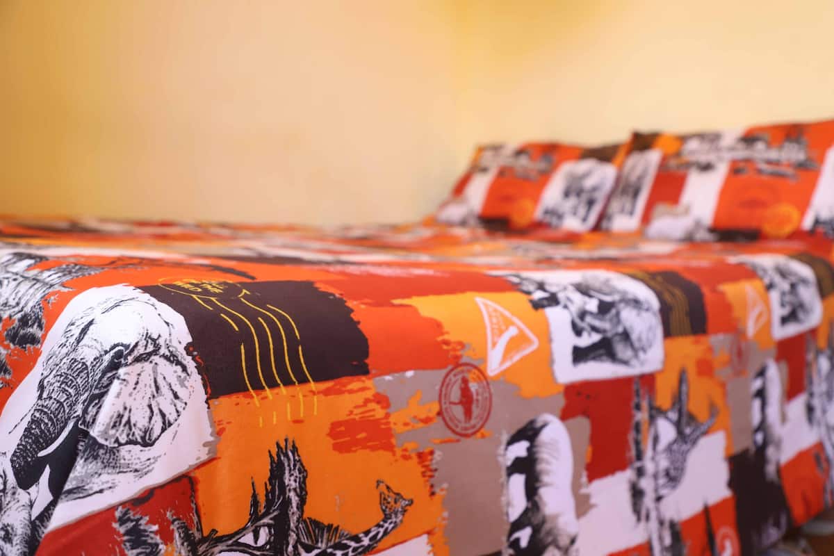 Appartamento, terrazzo | 1 camera, biancheria da letto di alta qualità, postazione laptop