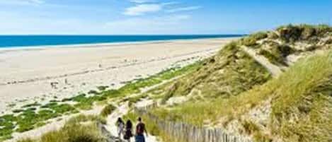 Plage à proximité, chaises longues