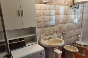 Shower, hair dryer, bidet, towels