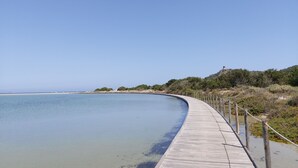 Un muelle de madera bordeando una playa tranquila con aguas cristalinas, rodeado de vegetación y una colina al fondo.