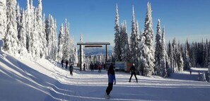 Deportes de invierno y ski