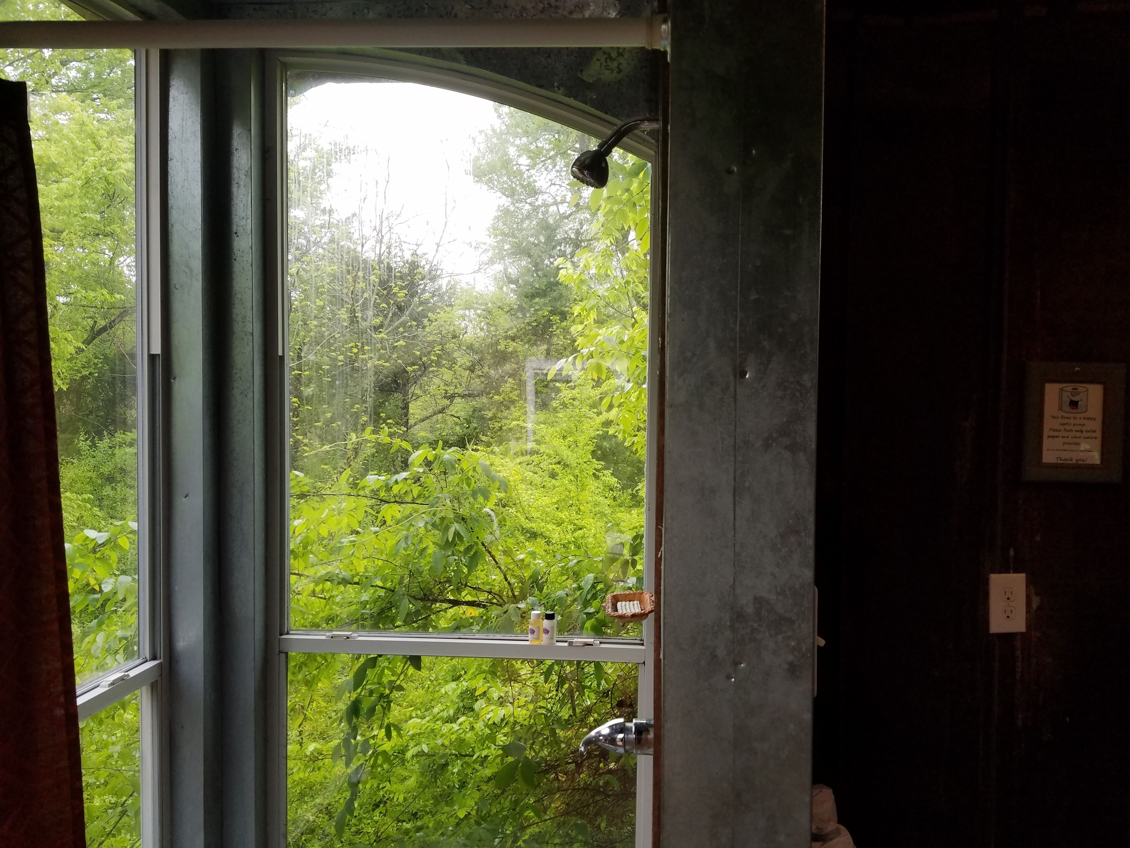 A window with a view of lush greenery outside.