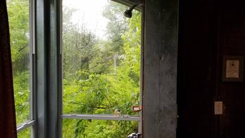 A window with a view of lush greenery outside.