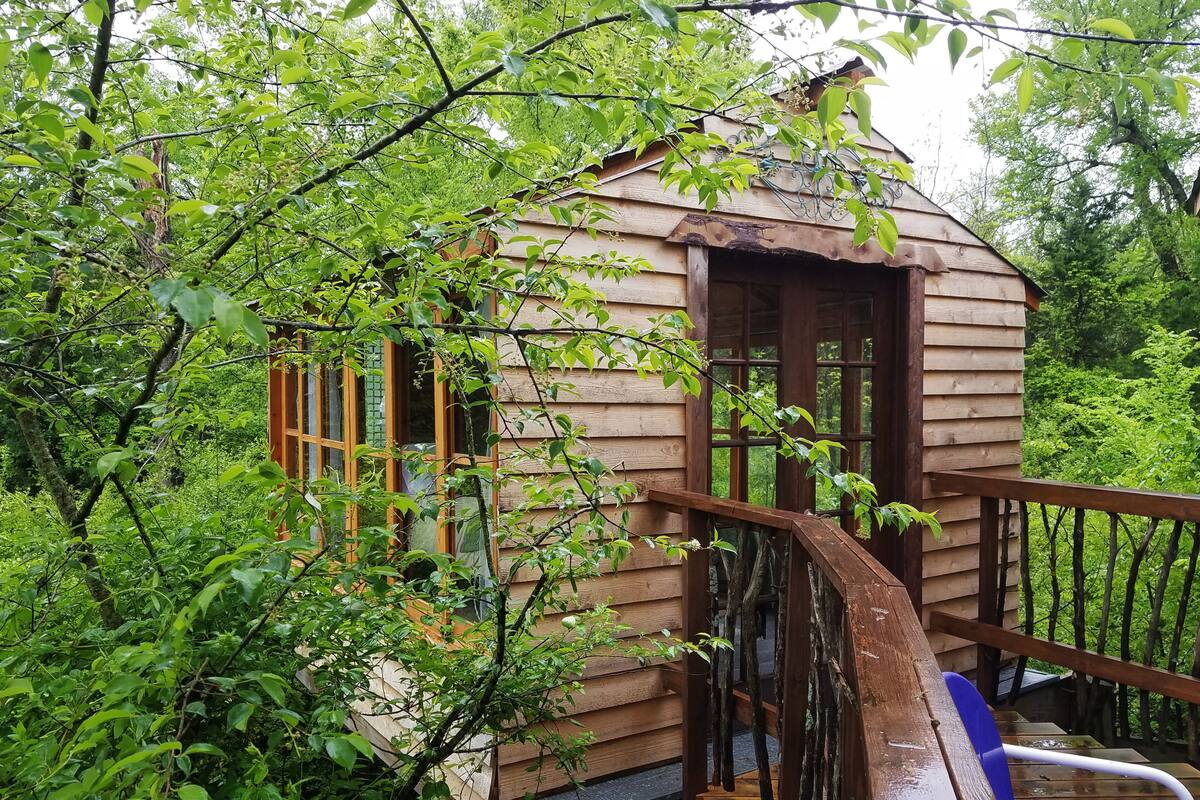 A wooden cabin surrounded by dense greenery, with a wooden staircase leading to a deck.