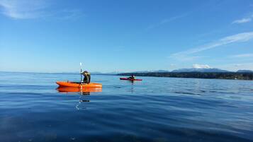Tumbonas y toallas de playa