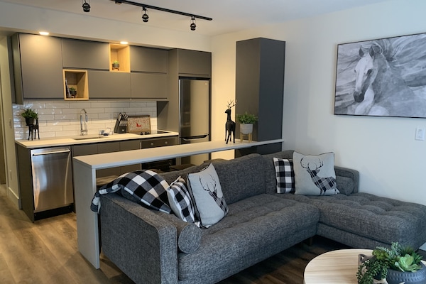 Open Concept Living Room and Kitchen