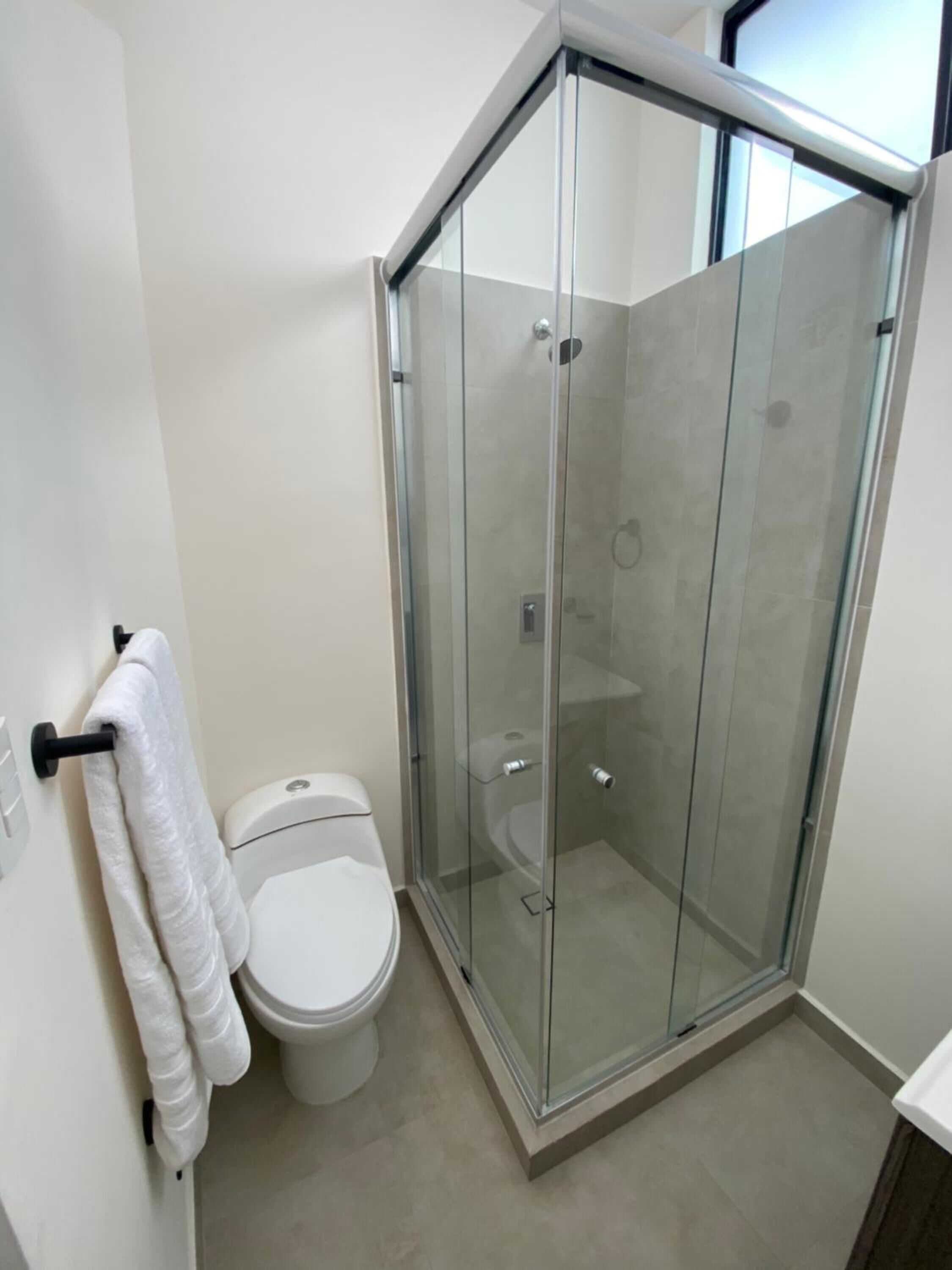A modern bathroom with a glass-enclosed shower, a toilet, and a towel rack.