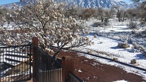 A snowy landscape with a mountain in the background, a fenced area with a tree, and a clear blue sky.