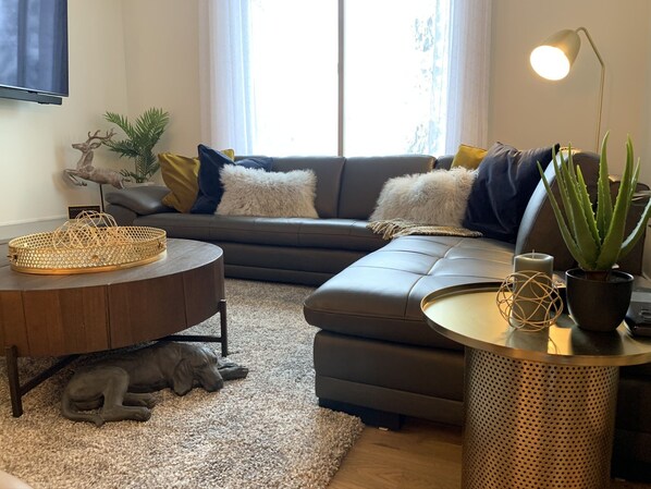 TV, fireplace