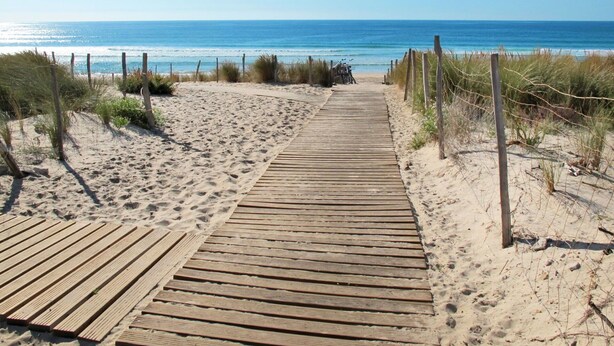 A wooden boardwalk leading to a beach with clear skies. - Cosy apartment for 4 guests with WIFI, pool, TV, terrace and pets allowed (Biscarrosse)