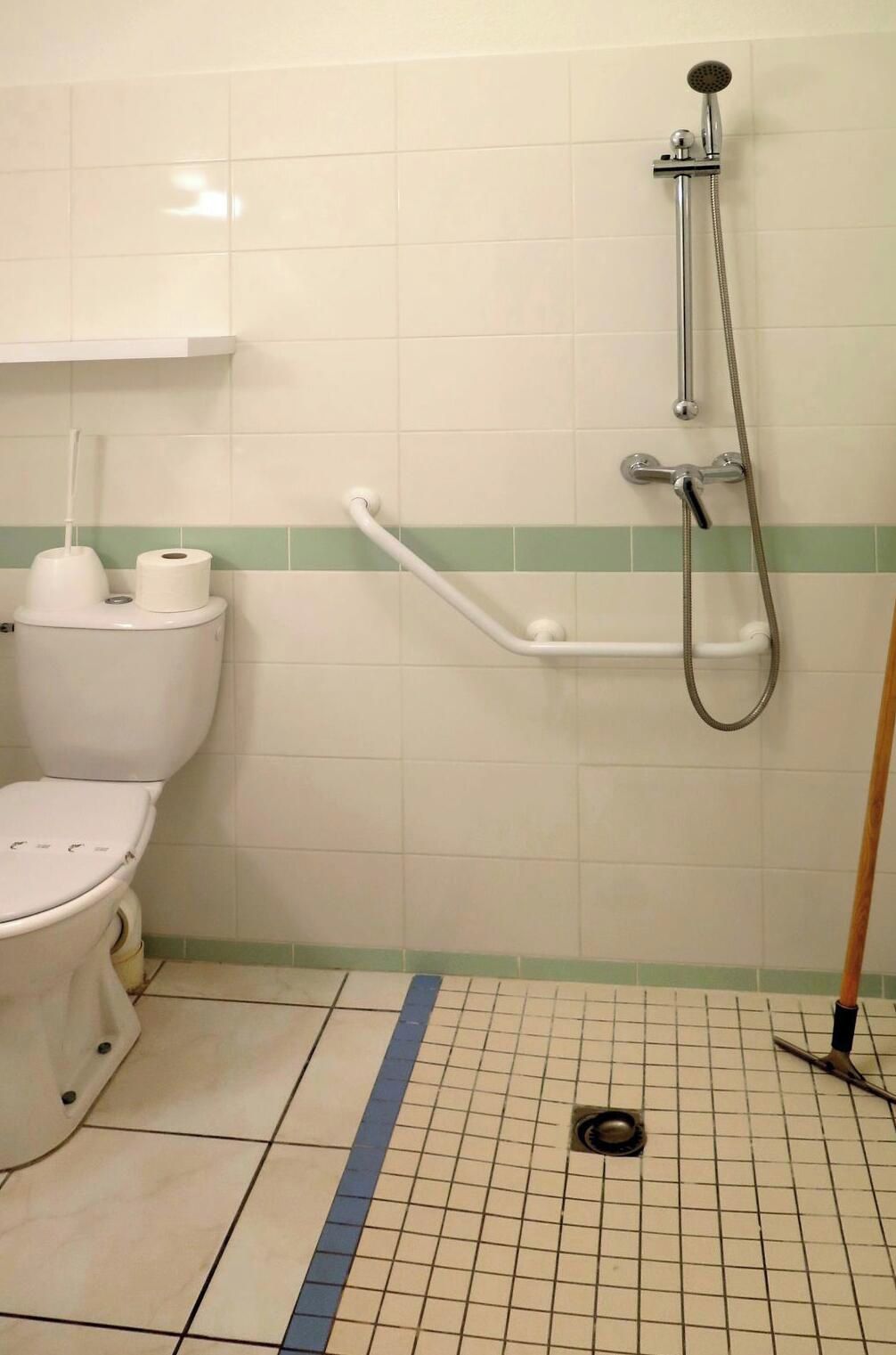 A bathroom with a toilet, a shower, and a grab bar.