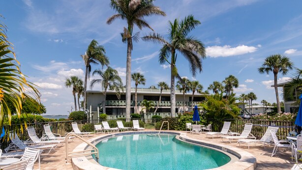 A pool area with lounge chairs and palm trees.