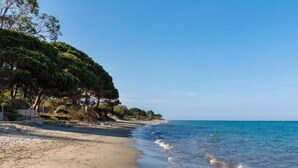 Ein sandiger Strand mit sanften Wellen, einem klaren Himmel und einer bewaldeten Küstenlandschaft mit Bäumen und Sträuchern.