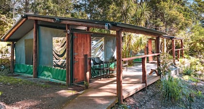 Binna Burra Rainforest Campsite
