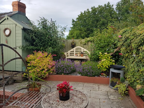 A garden with a wooden bench, a small shed, and various potted plants. - An Artist's Cottage in Fishguard (Fishguard)