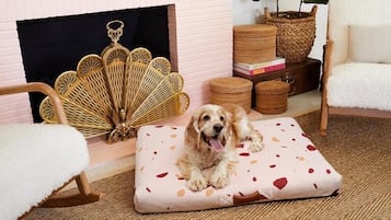 Een gezellige kamer met een open haard, een hond die uitrust op een hondenbed, rieten meubels en een witte stoel.