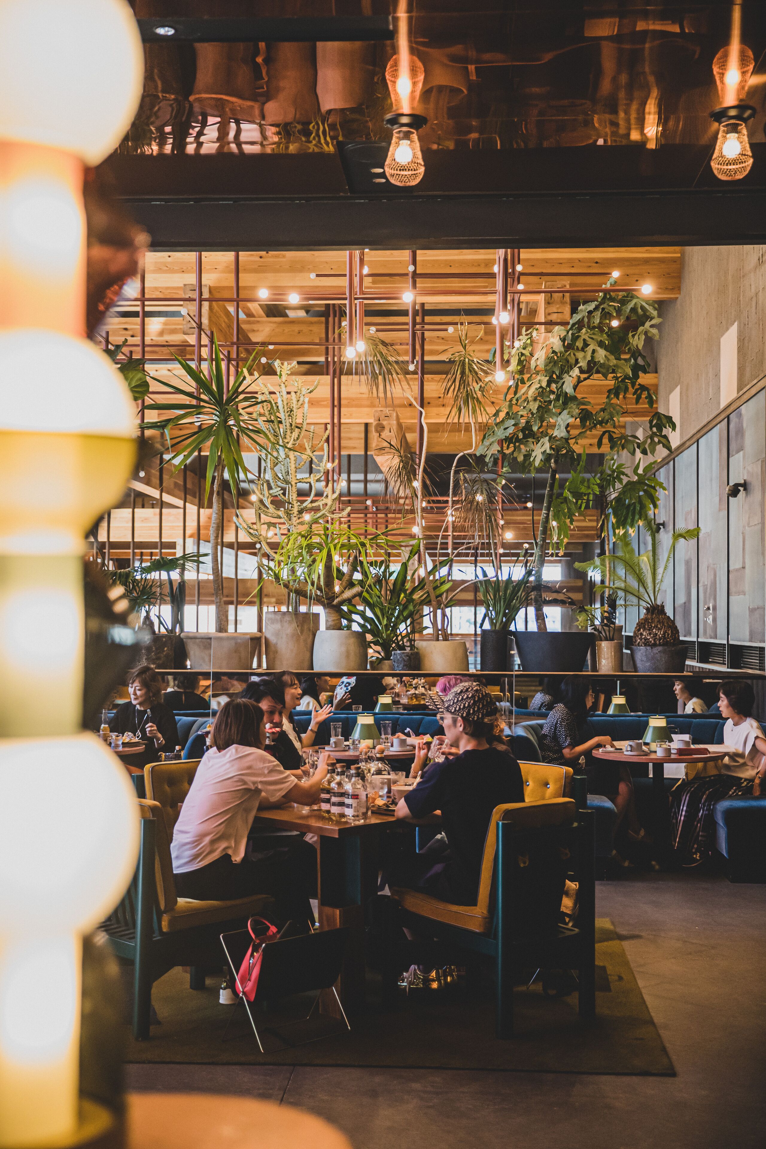 2 restaurants, mexican cuisine