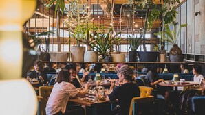 Un restaurant avec des tables et des chaises en bois, de grandes plantes en pot et des luminaires suspendus.