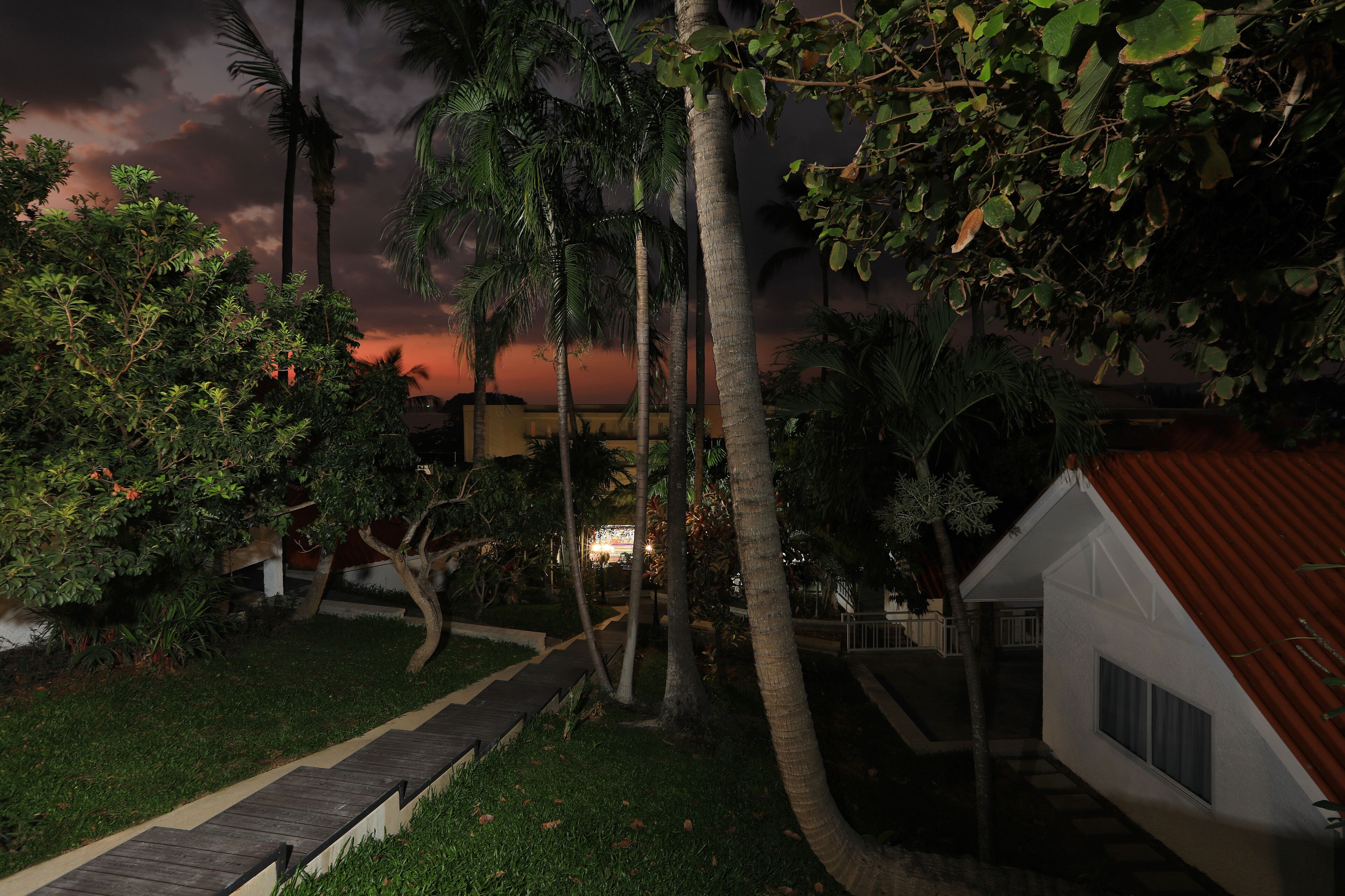A residential area with a pathway, palm trees, and a house with a red roof.