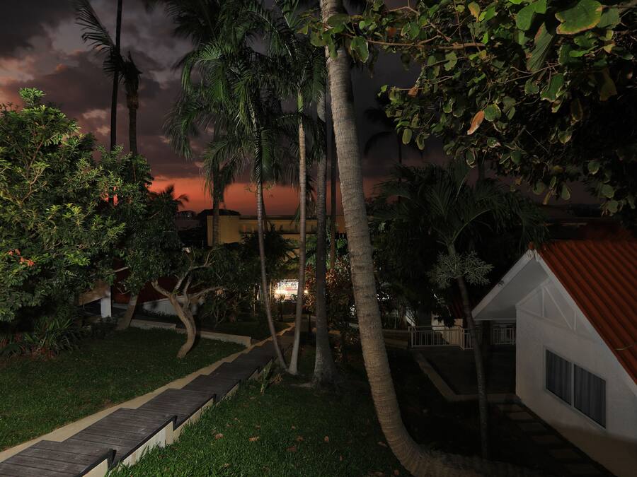 Zona residencial con un sendero, palmeras y una casa con techo rojo.