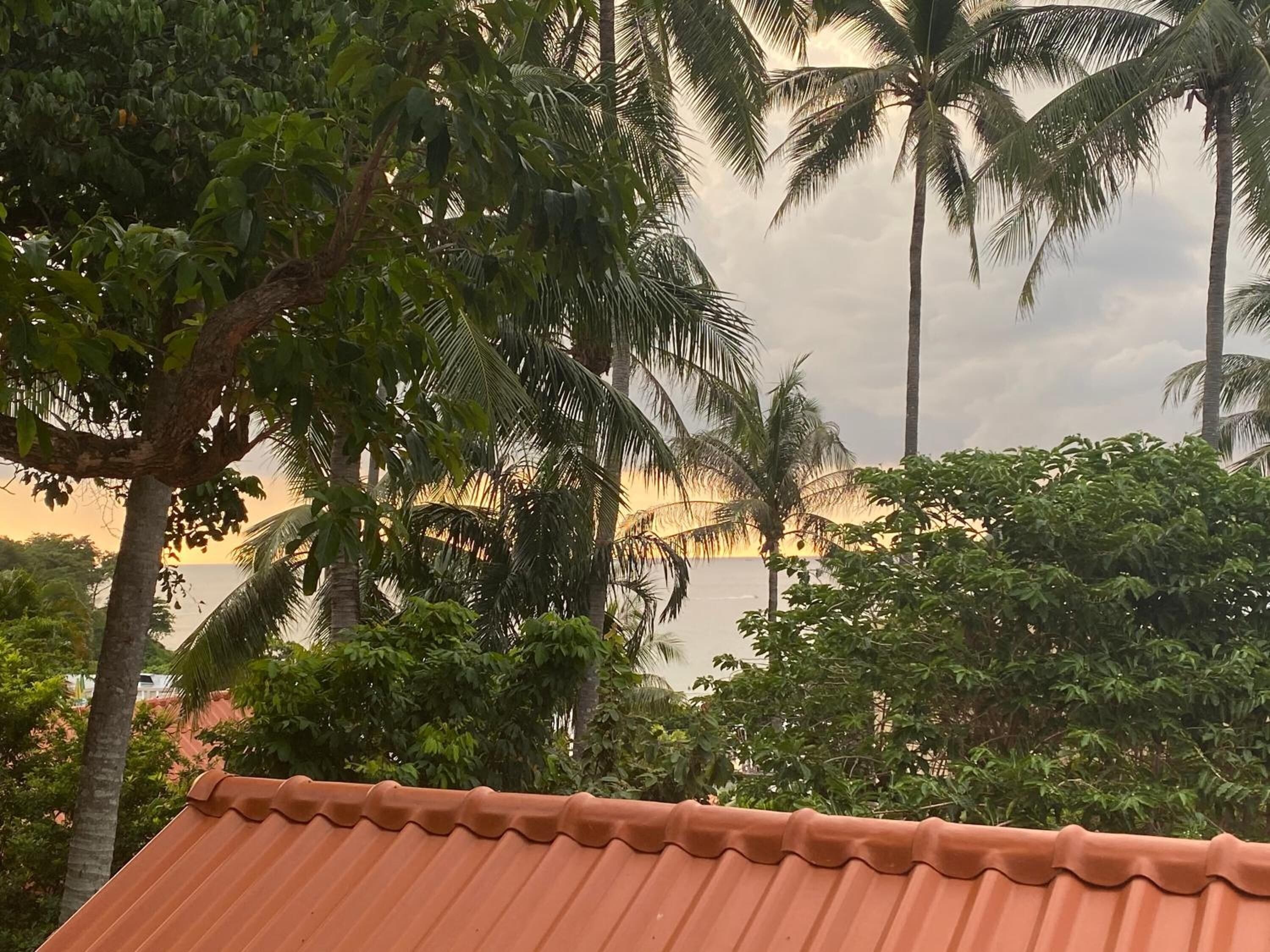 A view of a coastal area with palm trees and a building with a terracotta roof.