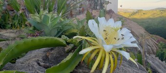 Pousada Pedra do Sossego