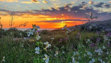 Atardecer sobre un campo cubierto de flores silvestres y una vista distante de un pueblo.