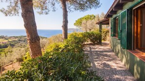 A coastal property with a gravel pathway leading to a building with green shutters.