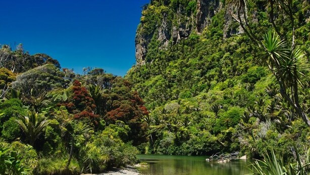 Un paysage naturel caractérisé par une rivière, une végétation luxuriante et des falaises rocheuses.