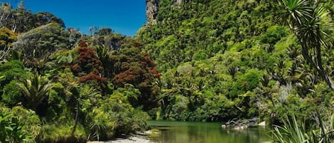 Sur la plage, sable noir