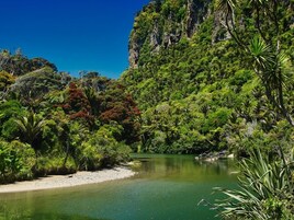 En la playa, arena negra