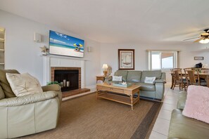 TV, fireplace, DVD player, books