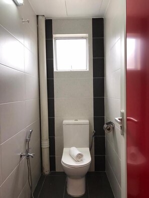 Shower, bidet, towels, toilet paper